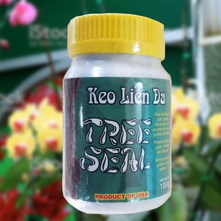 Keo liền sẹo TREE SEAL