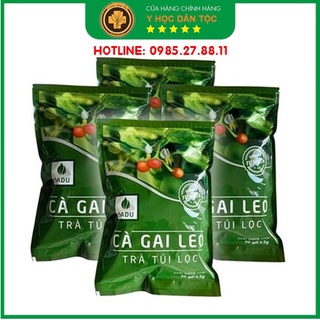 cà gai leo trà túi lọc 250Gr, 500Gr, 1000Gr  ⚜️FREESHIP⚜️ hỗ trợ và điều trị các bệnh về gan