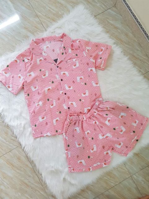 [Xả kho 3 ngày ] BỘ ĐỒ PIZAMA ĐÙI THÁI  LOẠI 1