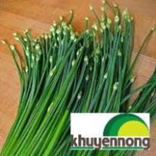5 gram hạt giống rau hẹ bông