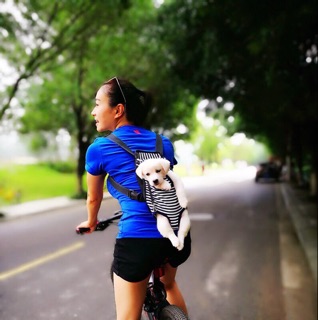 ĐỊU DÀNH CHO CHÓ MÈO