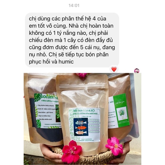 SOLUBE HUMIC HOA THẮM CHUẨN MÀU - SP DÙNG INDOOR PLANT CÂY TRONG NHÀ VÀ CÁC VƯỜN HOA BAN CÔNG NHỎ