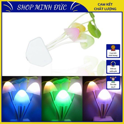 Đèn Ngủ Cảm Ứng Ánh Sáng Hình Nấm, Tự Động Bật Vào Buổi Tối - Đa Dạng Kiểu Dáng Avatar