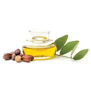 Dầu Jojoba vàng (JOJOBA OIL) - 50ml / 100ml - Nguyên liệu mỹ phẩm