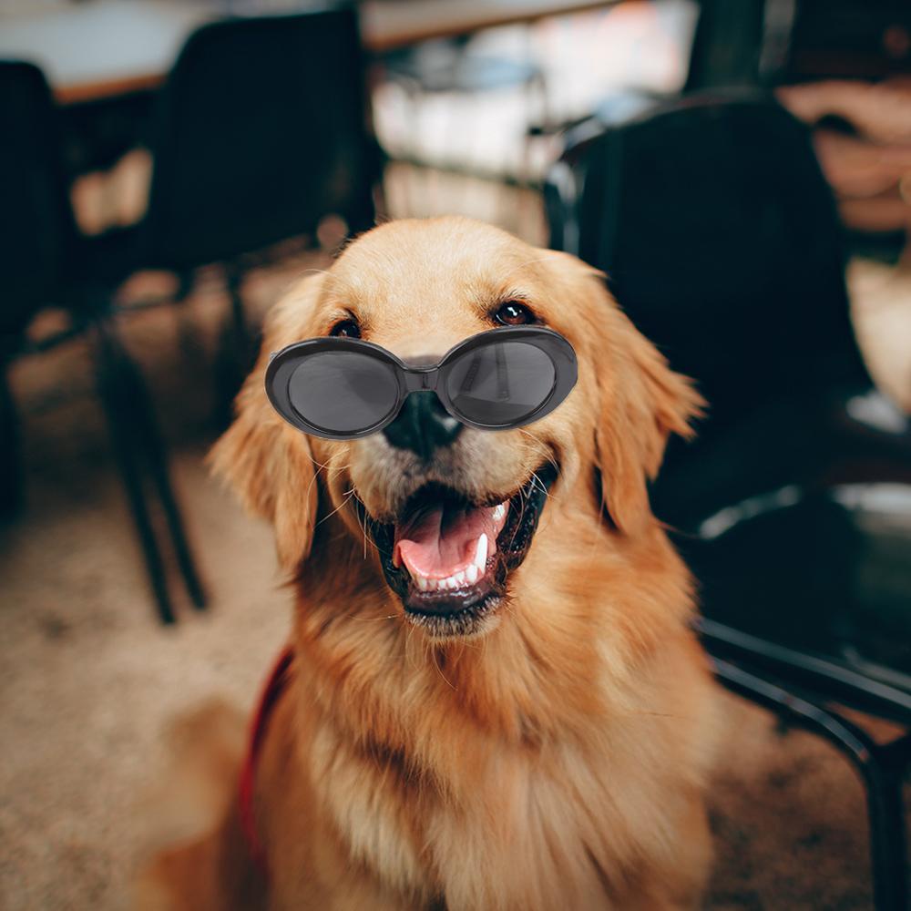 Kính Mát Hình Chó Mèo Thời Trang