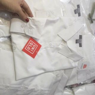 Áo sơ mi trắng uni