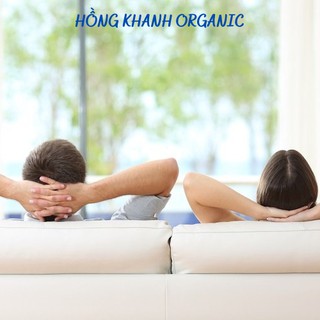 Tinh Dầu Gừng 10ml Lê Quế