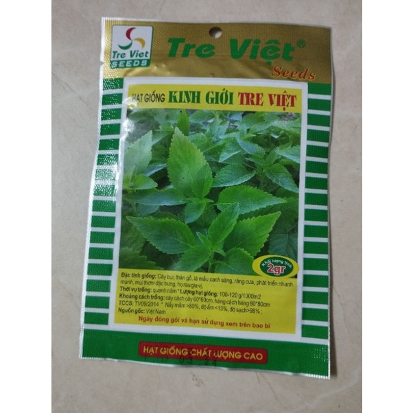 Hạt giống rau kinh giới tre việt siêu thơm,kháng bệnh tốt,trồng quanh năm