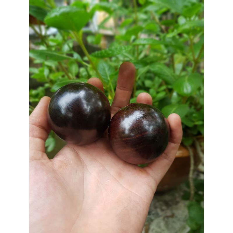 Bi lăn tay mát xa bằng GỖ  - TRẮC Màu đen nhiều