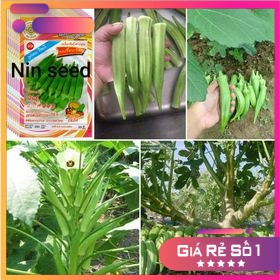 [ Siêu Hạt Giống ] 130H - Hạt Giống Đậu Bắp Xanh Thái lan