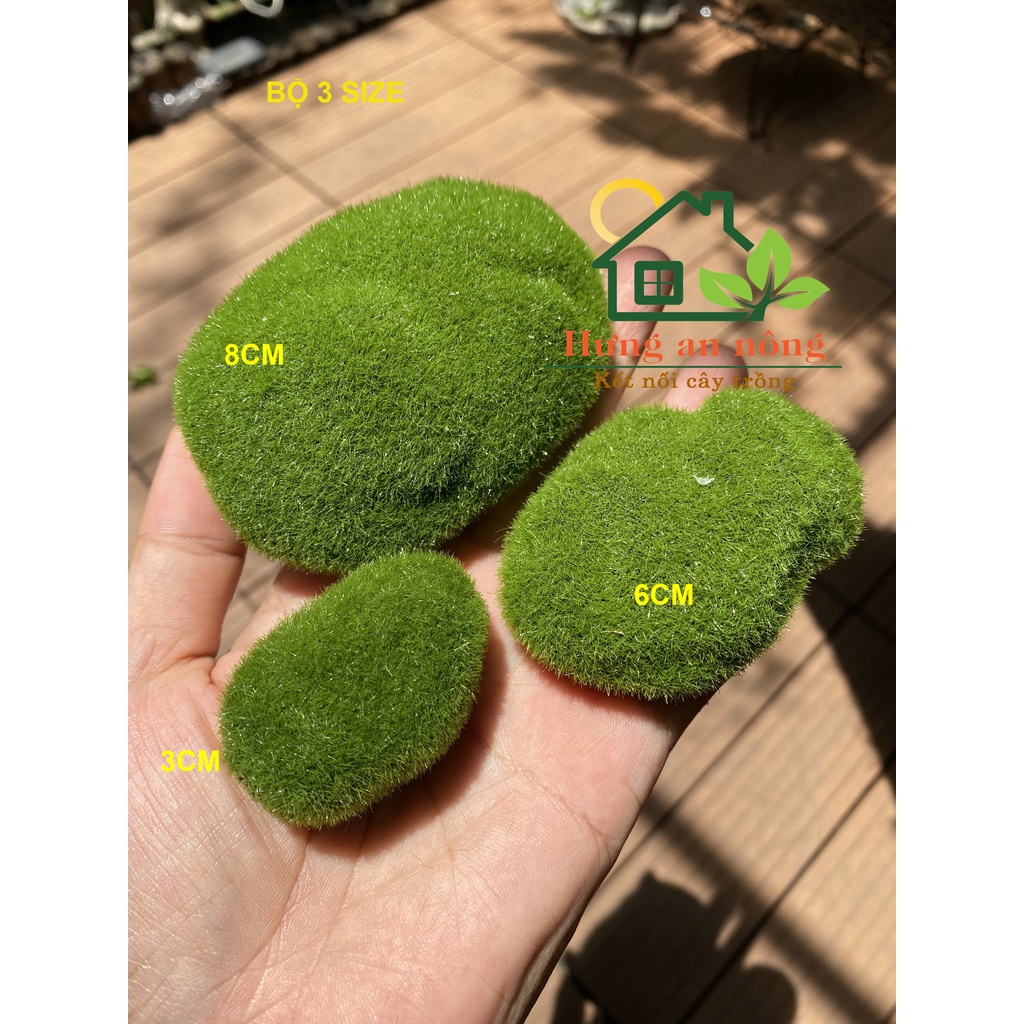 TT103- RÊU HÒN ĐÁ - size 3cm, 6cm, 8cm Có thể sử dụng trong môi trường nước, dùng trang trí tiểu cảnh