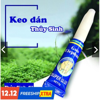 Keo dán cây thủy sinh, chuyên dán rêu, ráy, lũa, đá