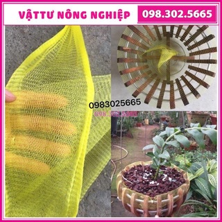 50 túi lưới lót chậu trồng phong lan