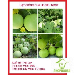 shophouse Gói 20 hạt giống dưa lê siêu ngọt  SHOP HOUSE  TẾT KHUYẾN MẠI