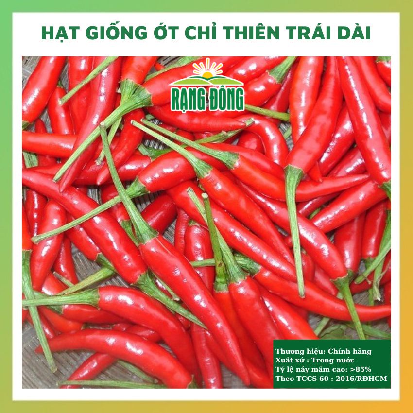 Hạt giống ớt chỉ thiên trái dài siêu cay - rau củ quả chịu nhiệt 4 mùa tỉ lệ nảy mầm cao 0.1gr RADO 0911