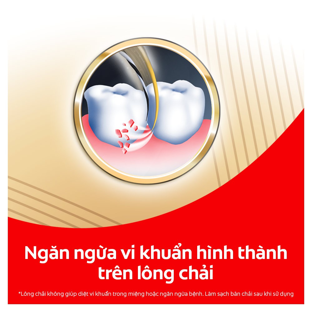 Bộ 2 Bàn chải Colgate Slimsoft Charcoal Gold kháng khuẩn than vàng