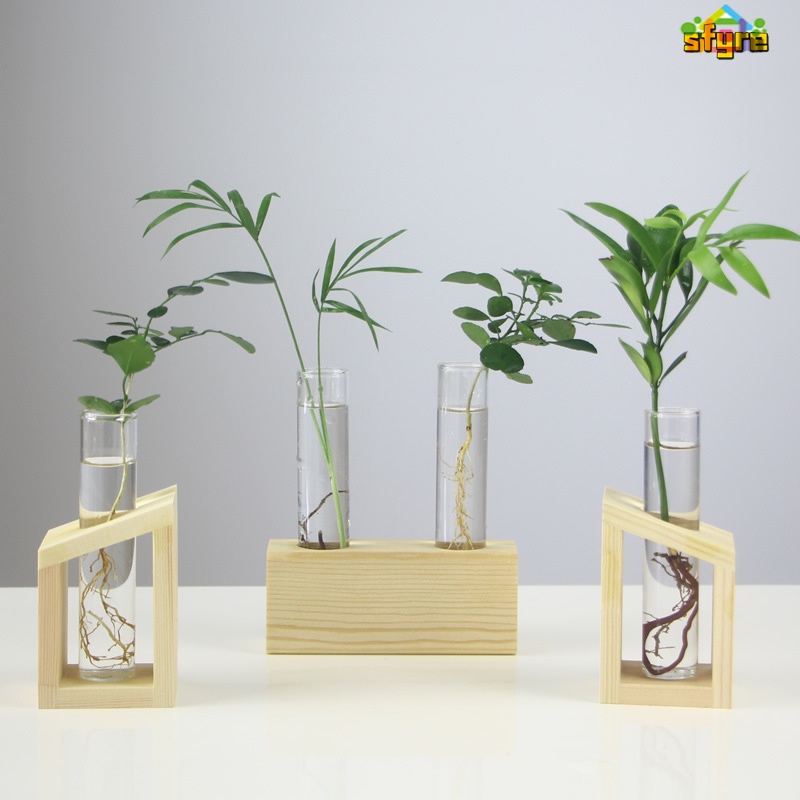 Chậu Hoa Thủy Tinh Dạng Ống Đứng Kèm Giá Đỡ Gỗ Đơn Giản Trang Trí Nhà Cửa / Sân Vườn