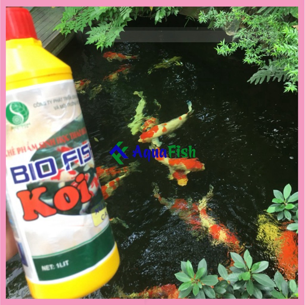 Men Vi Sinh Giúp Lọc Nước Cho Bể Cá, Hồ Cá Koi: Bio Fish Koi 1000ml (lọc nước, làm trong nước cực hiệu quả)