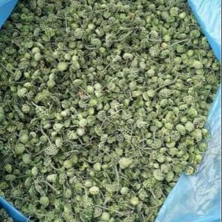 Sỉ toàn quốc giá rẻ 500g - 1kg