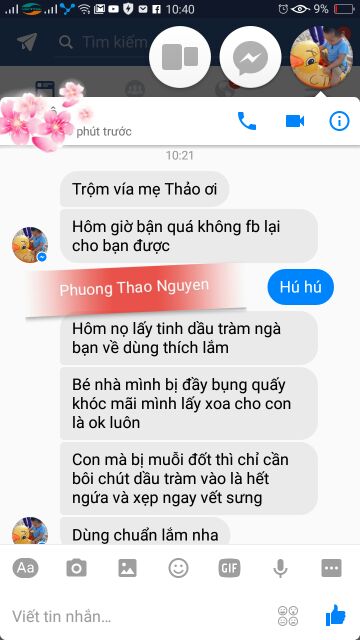 Tinh dầu tràm huế
