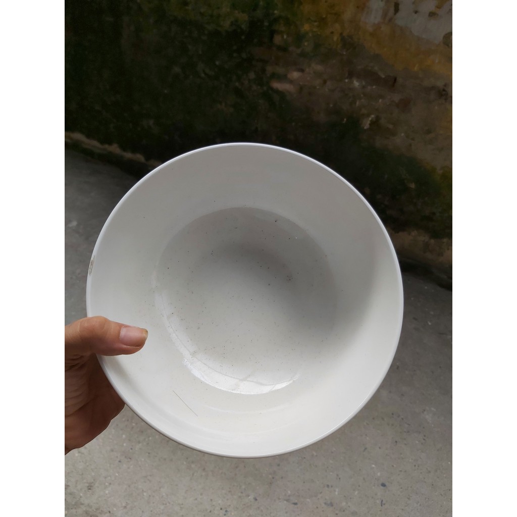 Bát tô sứ trắng 8 inch, 20,8cm