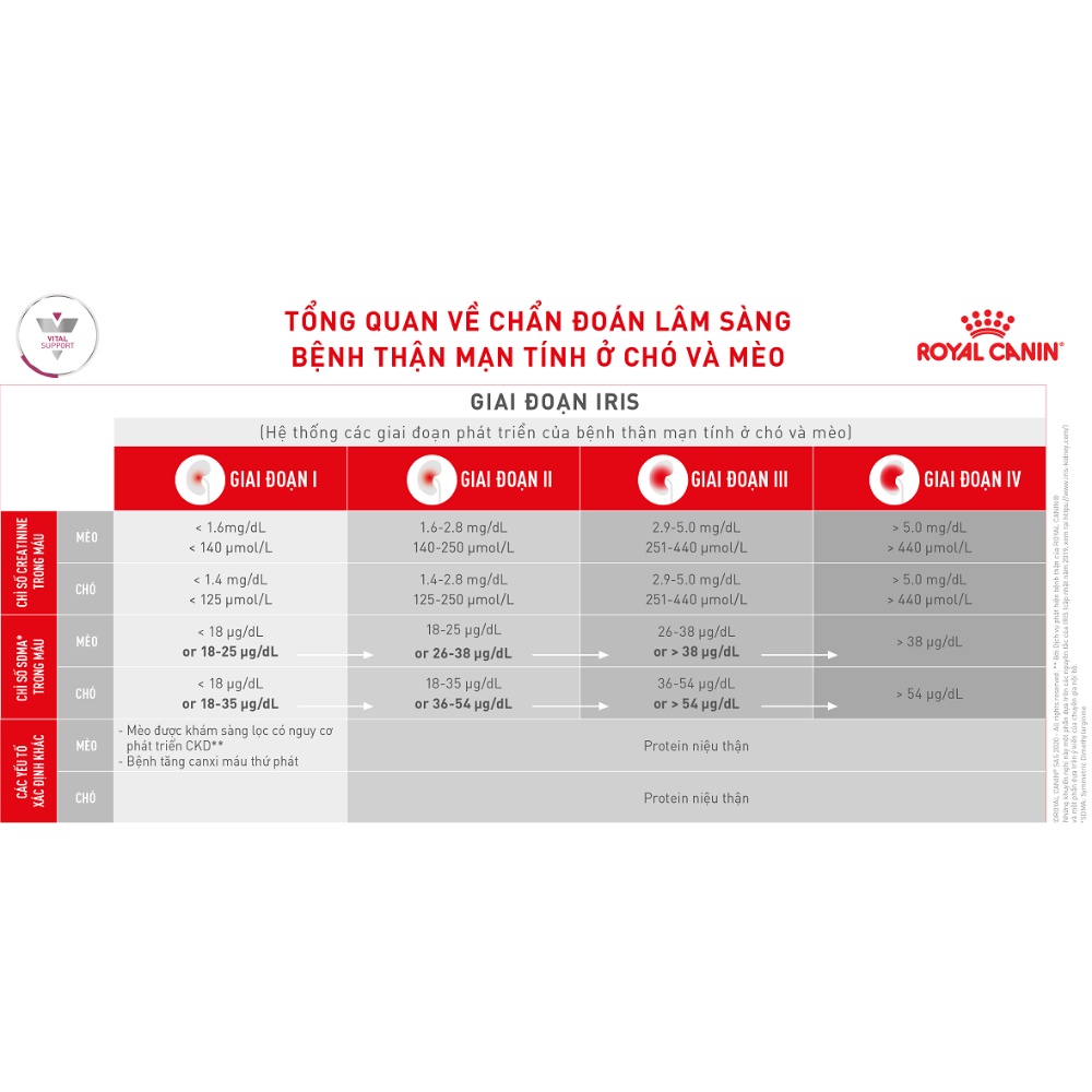 ROYAL CANIN RENAL CAT - HỖ TRỢ CHỨC NĂNG THẬN CHO MÈO, túi 400g