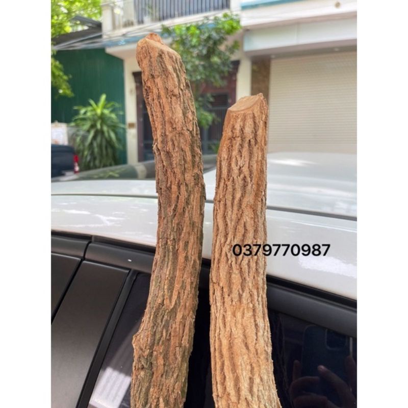 Thân Cây Gỗ Trang Trí - trang trí decor nhà hàng nội thất phòng khách