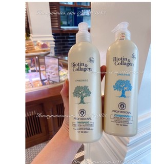 Cặp dầu gội Biotin & Collagen Ý