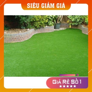 Gói 100g hạt giống cỏ nhung nhật - cỏ trang trí sân vườn ,thảm cảnh, tỷ lệ nảy mầm cao
