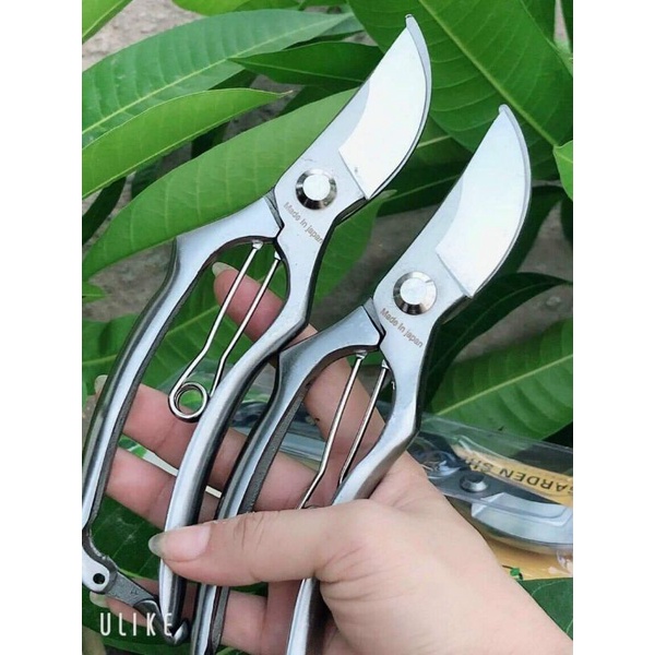 Kéo tỉa răm và cắt cành thép trắng không hoen rỉ