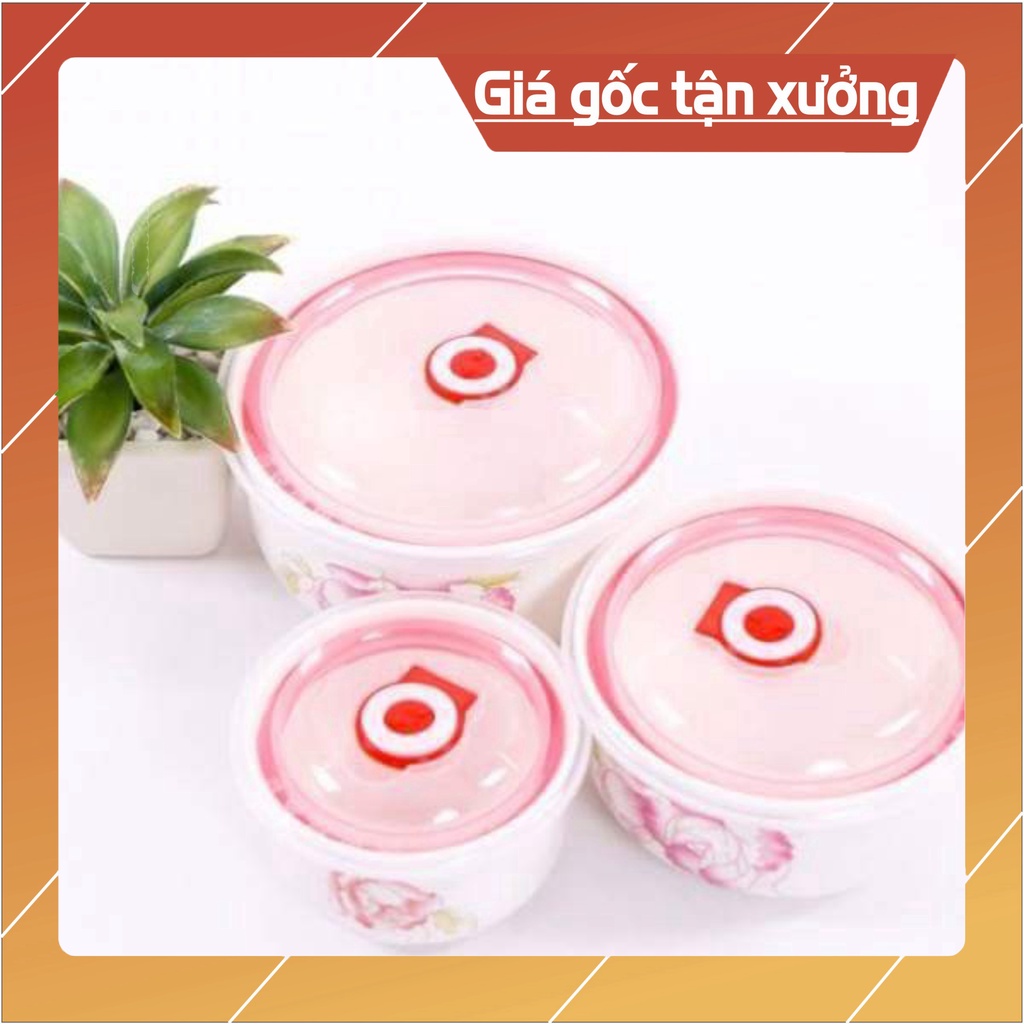 Hộp đựng thức ăn 3 bát sứ có nắp hút chân không