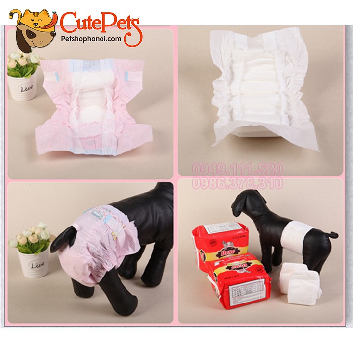  Bỉm cho chó đực DONO Tã quấn bụng chó đực - CutePets Phụ kiện thú cưng Pet shop Hà Nội