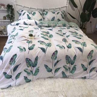 SET CHĂN GA GỐI ĐŨI MỀM MỊN