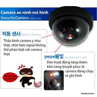 Camera Mô Hình Chống Trộm Security Camera