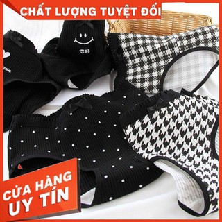 ✅ Sale ✅Quần Lót Cotton Nữ 🆘 Free Ship🆘 Quần lót, phong cách trẻ trung 💢 Có clip shop tự quay 💢