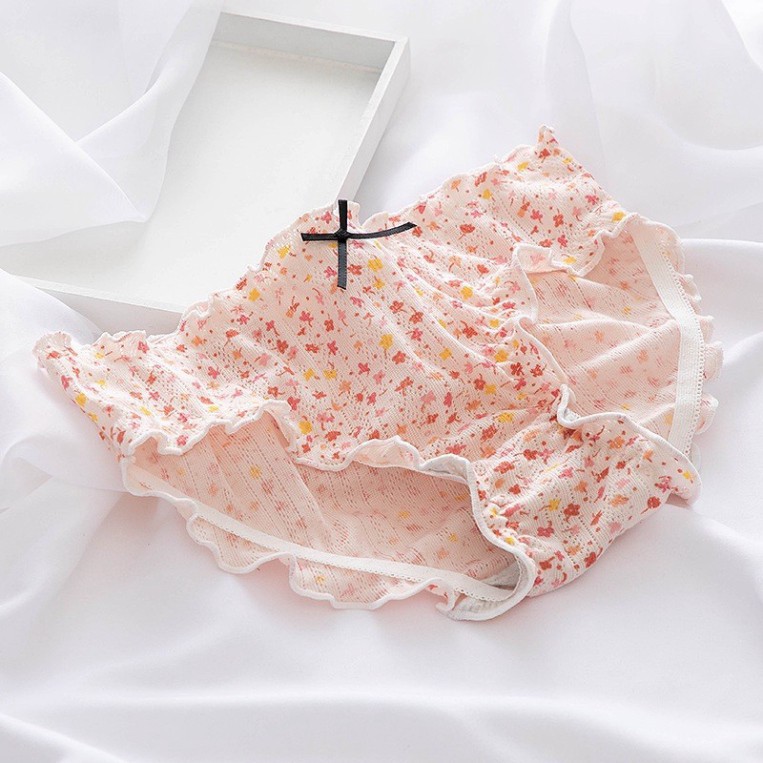 Quần Lót Nữ SAM SAM Cotton kute cao cấp hoa Đáy lót kháng khuẩn Size cho nàng 45-65kg