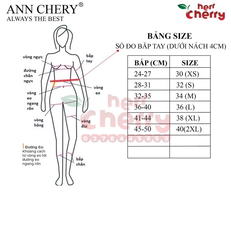 THANH LÝ ANN CHERRY 3015 - ĐAI TAY LƯNG SAU HÚT MỠ