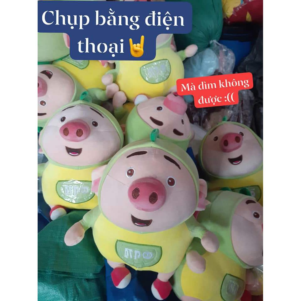 [CỰC HOT] GẤU BÔNG HEO TIKTOK VẢI MINISO CỰC ÊM MỊN. ẢNH SHOP