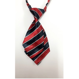 Cà vạt nữ, nơ nữ đeo cổ thời trang