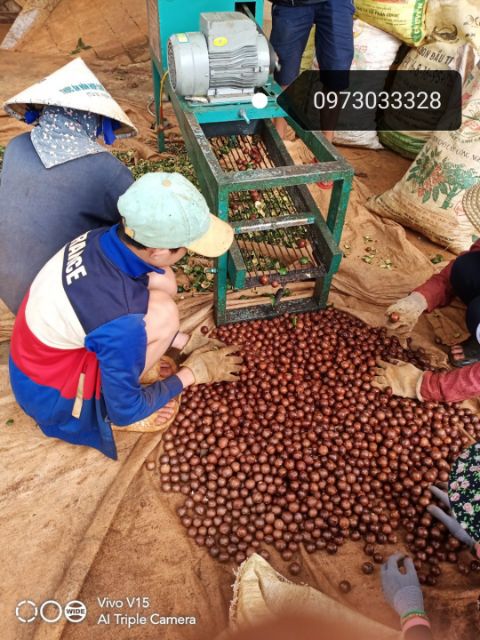 500G MẮC CA SẤY NỨT ĐĂK LĂK