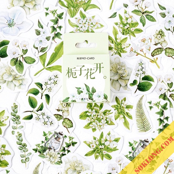 Hộp 45 Sticker nhãn dán Lá cây xanh, anh đào trang trí Bullet journal, album STI01