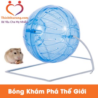 Bóng Chạy Cho Chuột Hamster - 4 Trong 1 - Loại 1 - Bền Rẻ