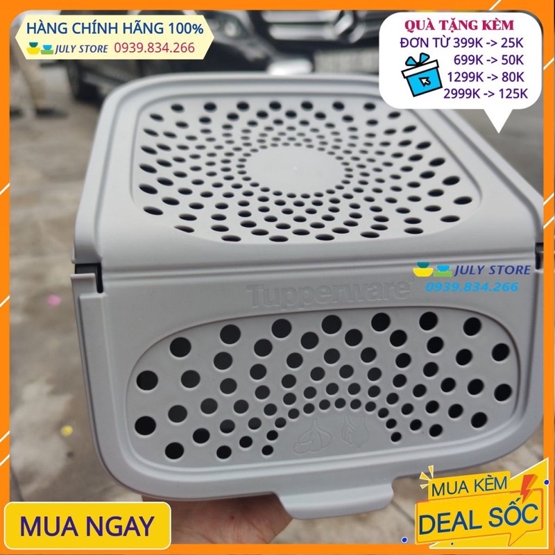 Dụng Cụ Trữ Hành Tỏi Tupperware | BigBuy360 - bigbuy360.vn
