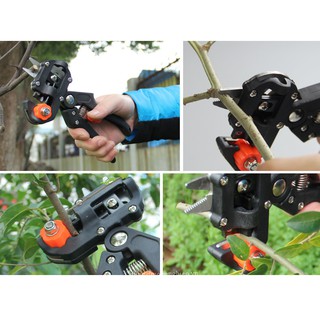 Cực Rẻ Kéo Ghép Cành Cây