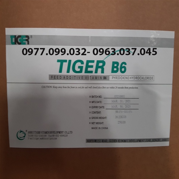 Nguyên Liệu Vitamin B6  hàm lượng 99%. Hỗ trợ tăng trưởng và tiêu hóa. Thùng 25kg