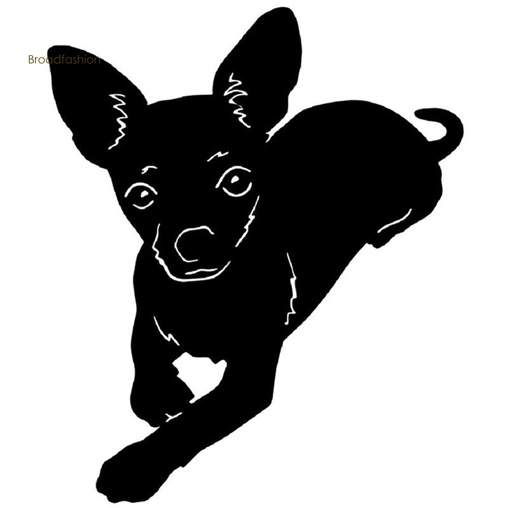 Sticker Dán Trang Trí Xe Hơi Hình Chó Chihuahua Đáng Yêu