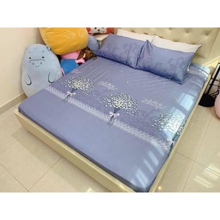 Bộ ga chun và 2 vỏ gối nằm mẫu hoa tím baby, drap cotton poly