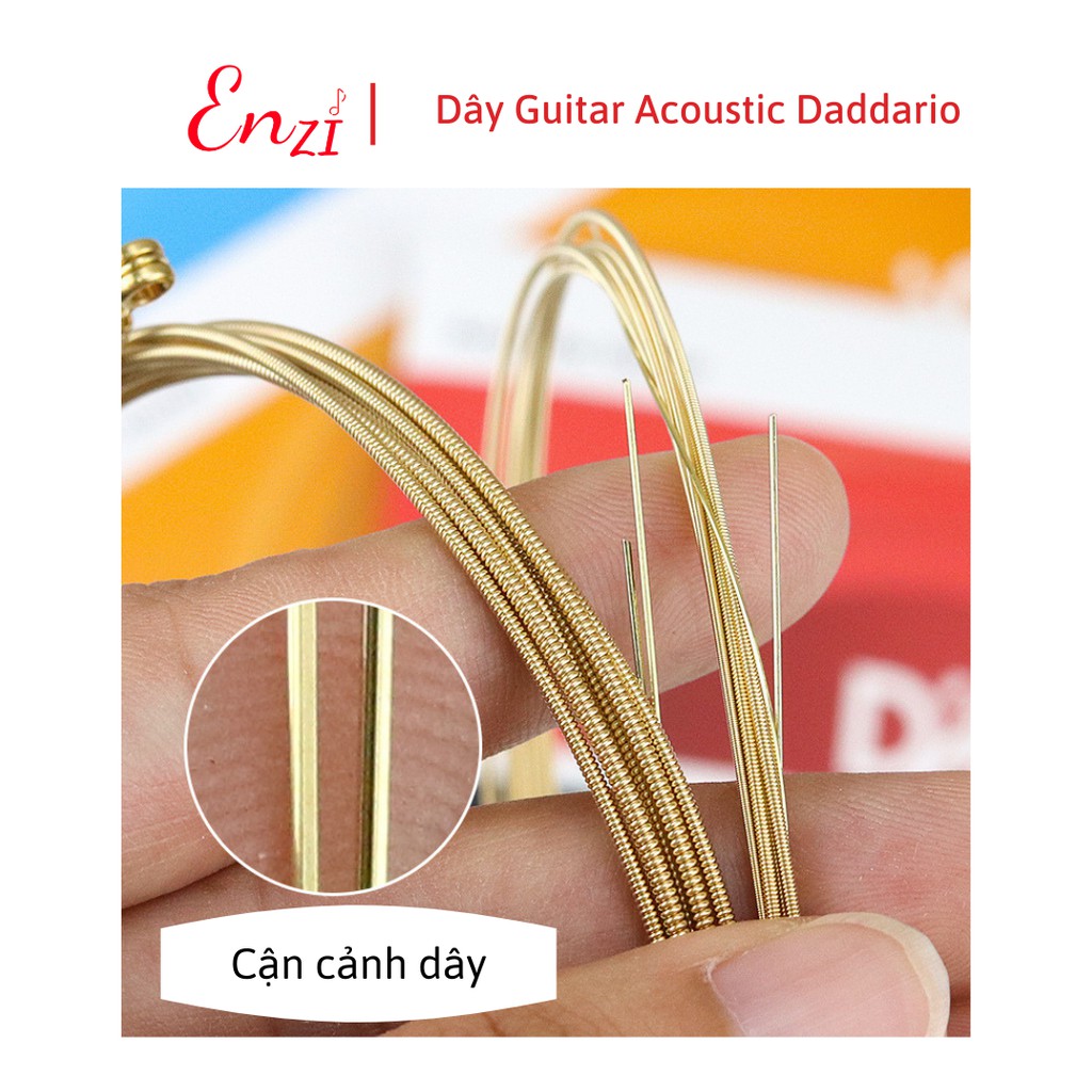 Dây đàn guitar acoustic D'addario EZ910 dây guitar sắt chất lượng Enzi