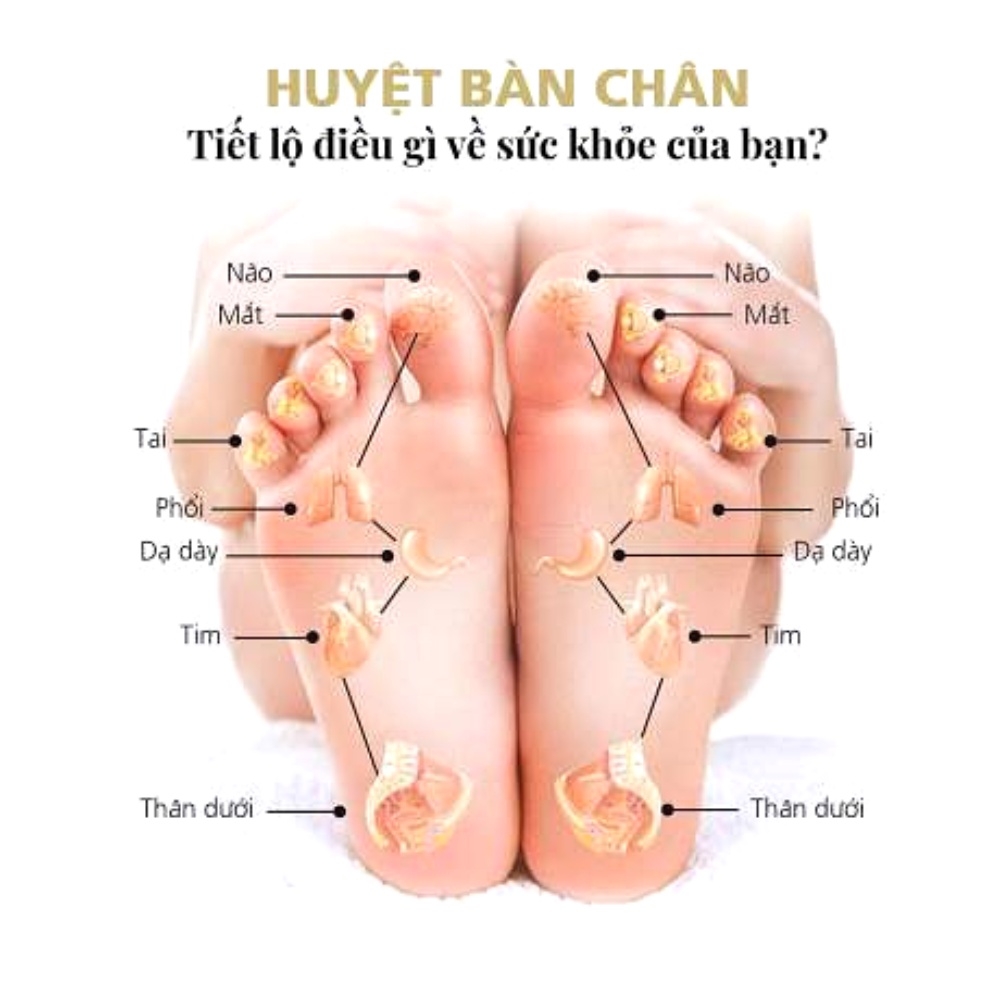 Dụng Cụ Masssge Bàn Chân, Giảm Đau Nhức, Thư Giãn Giảm Căng Thẳng