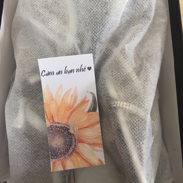 Giày nữ P.L.T - 200